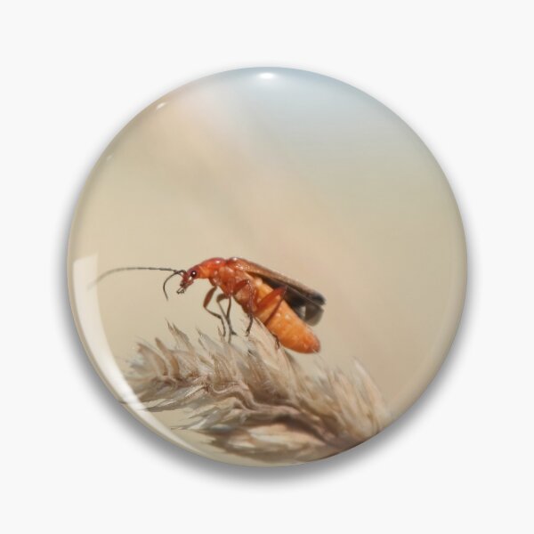 Item preview, Common red soldier beetle designed and sold by Calidris Fotografie Steffi & Ben Köppler.