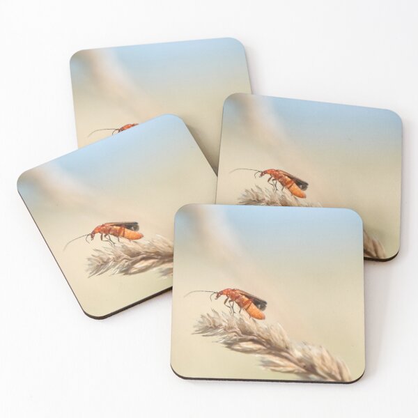 Item preview, Common red soldier beetle designed and sold by Calidris Fotografie Steffi & Ben Köppler.