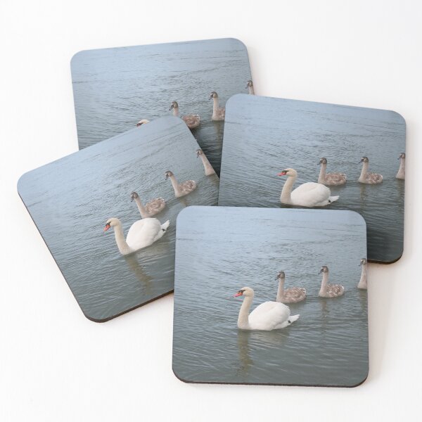 Item preview, Swan family designed and sold by Calidris Fotografie Steffi & Ben Köppler.