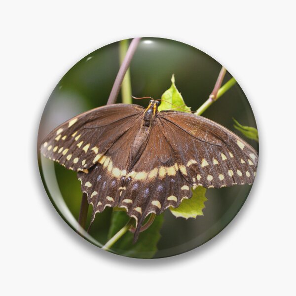 Item preview, Butterfly Garden 1 designed and sold by Nature's Reflections.