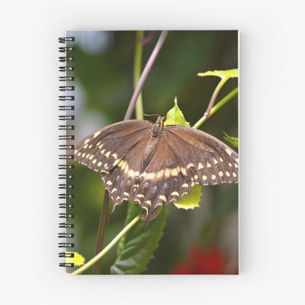 Item preview, Butterfly Garden 1 designed and sold by Nature's Reflections.