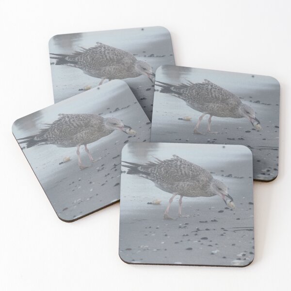Item preview, European herring gull designed and sold by Calidris Fotografie Steffi & Ben Köppler.