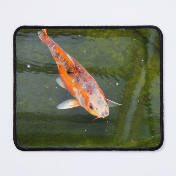 Item preview, Garden Koi Pond 2 designed and sold by Nature's Reflections.