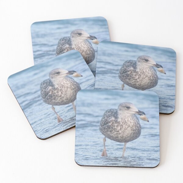Item preview, European Herring Gull designed and sold by Calidris Fotografie Steffi & Ben Köppler.
