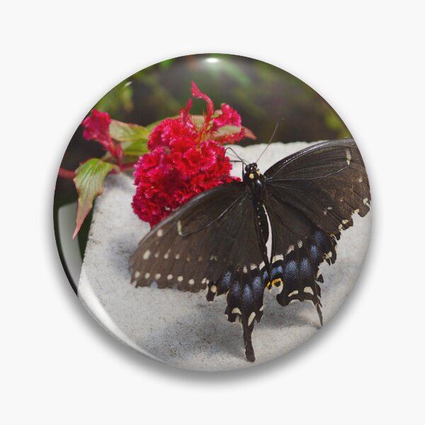 Item preview, Garden Swallowtail Butterfly in Garden designed and sold by Nature's Reflections.