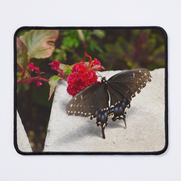 Item preview, Garden Swallowtail Butterfly in Garden designed and sold by Nature's Reflections.