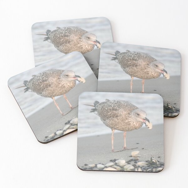Item preview, European herring gull designed and sold by Calidris Fotografie Steffi & Ben Köppler.