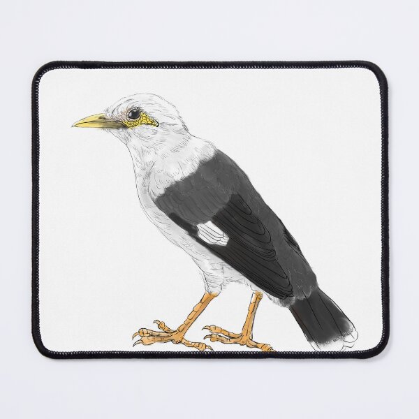 Item preview, black-winged starling - subpecies grey grey designed and sold by yaoyao-friends.