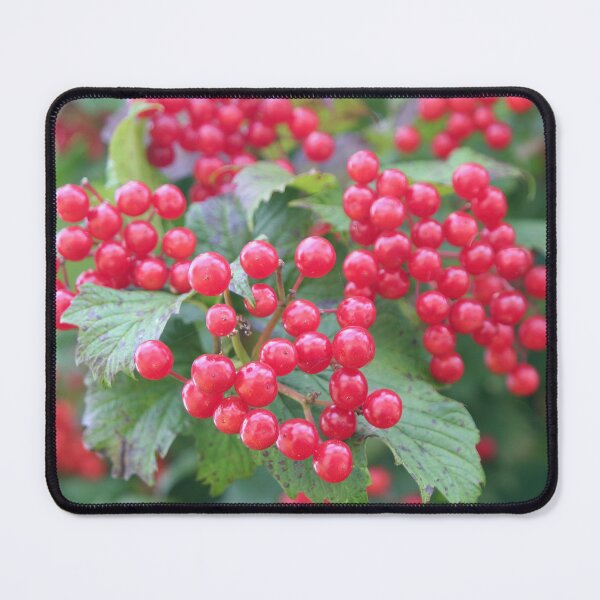 Item preview, Red Berries designed and sold by Calidris Fotografie Steffi & Ben Köppler.