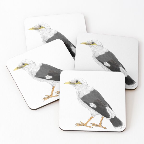 Item preview, black-winged starling - subpecies grey white designed and sold by yaoyao-friends.