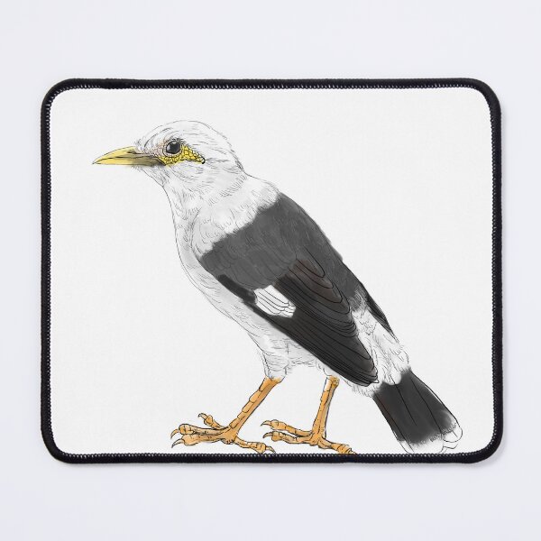 Item preview, black-winged starling - subpecies grey white designed and sold by yaoyao-friends.