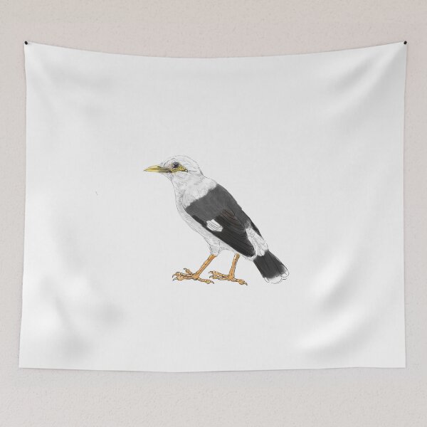 Item preview, black-winged starling - subpecies grey white designed and sold by yaoyao-friends.