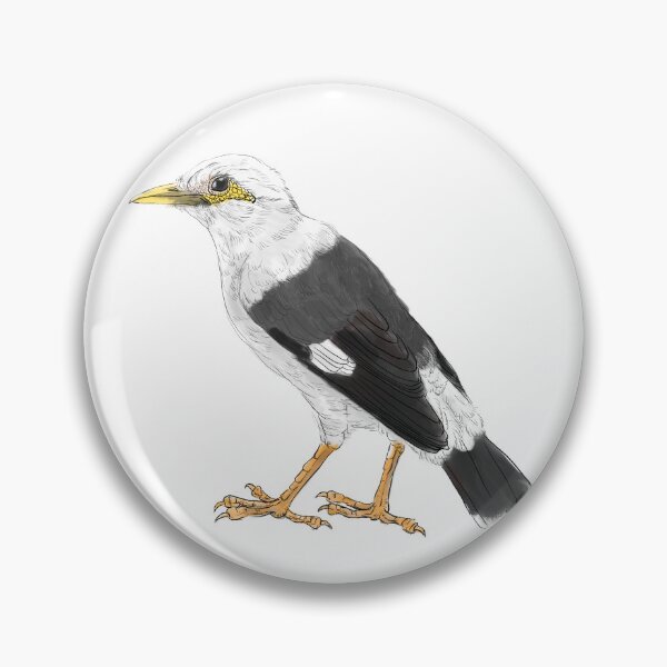 Item preview, black-winged starling - subpecies grey white designed and sold by yaoyao-friends.