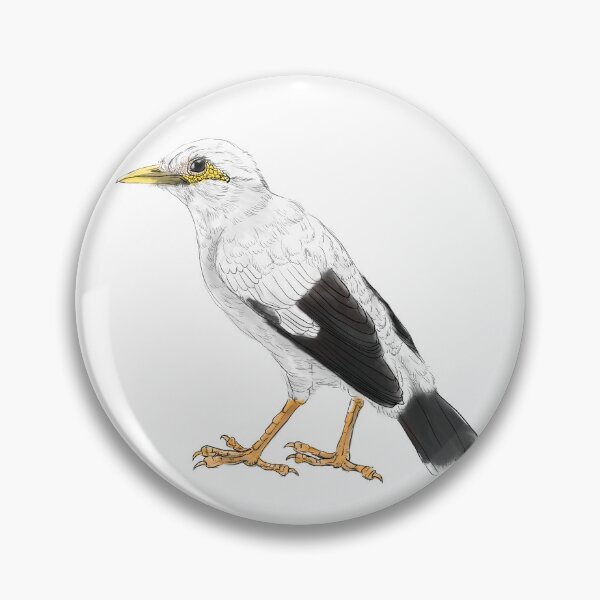 Item preview, Copy of black-winged starling - subpecies white white designed and sold by yaoyao-friends.