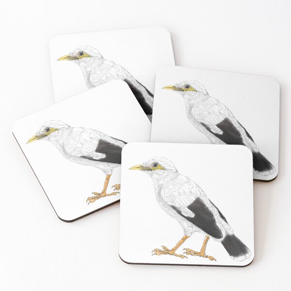 Item preview, Copy of black-winged starling - subpecies white white designed and sold by yaoyao-friends.