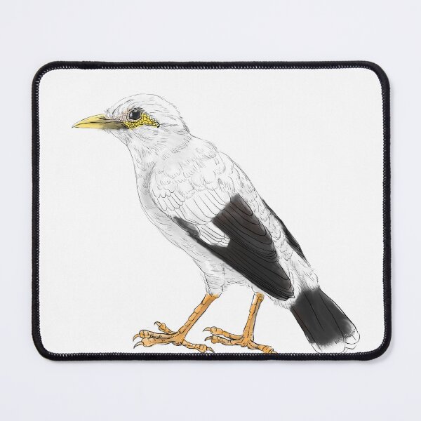 Item preview, Copy of black-winged starling - subpecies white white designed and sold by yaoyao-friends.