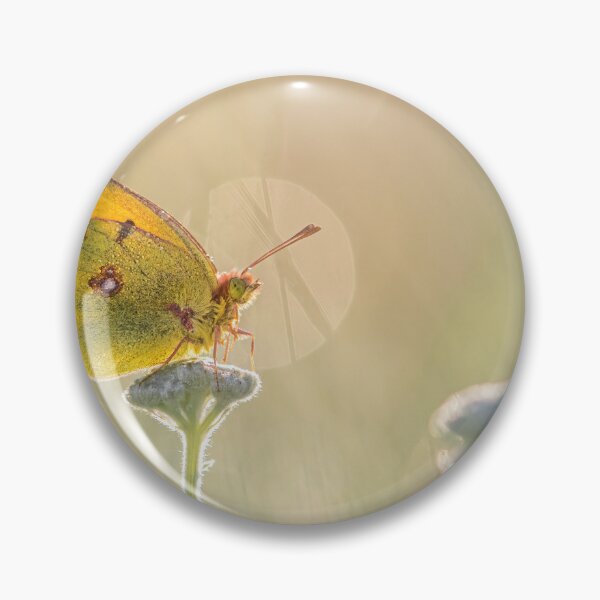 Item preview, Clouded Yellow designed and sold by Tony North.