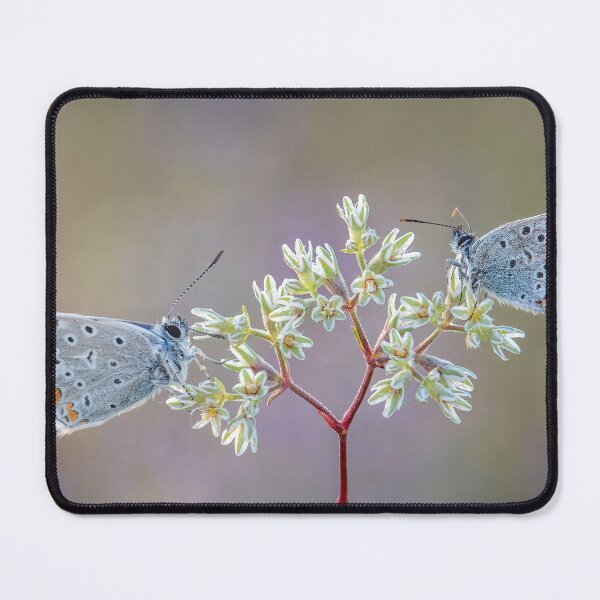 Item preview, Two Blues designed and sold by Tony North.