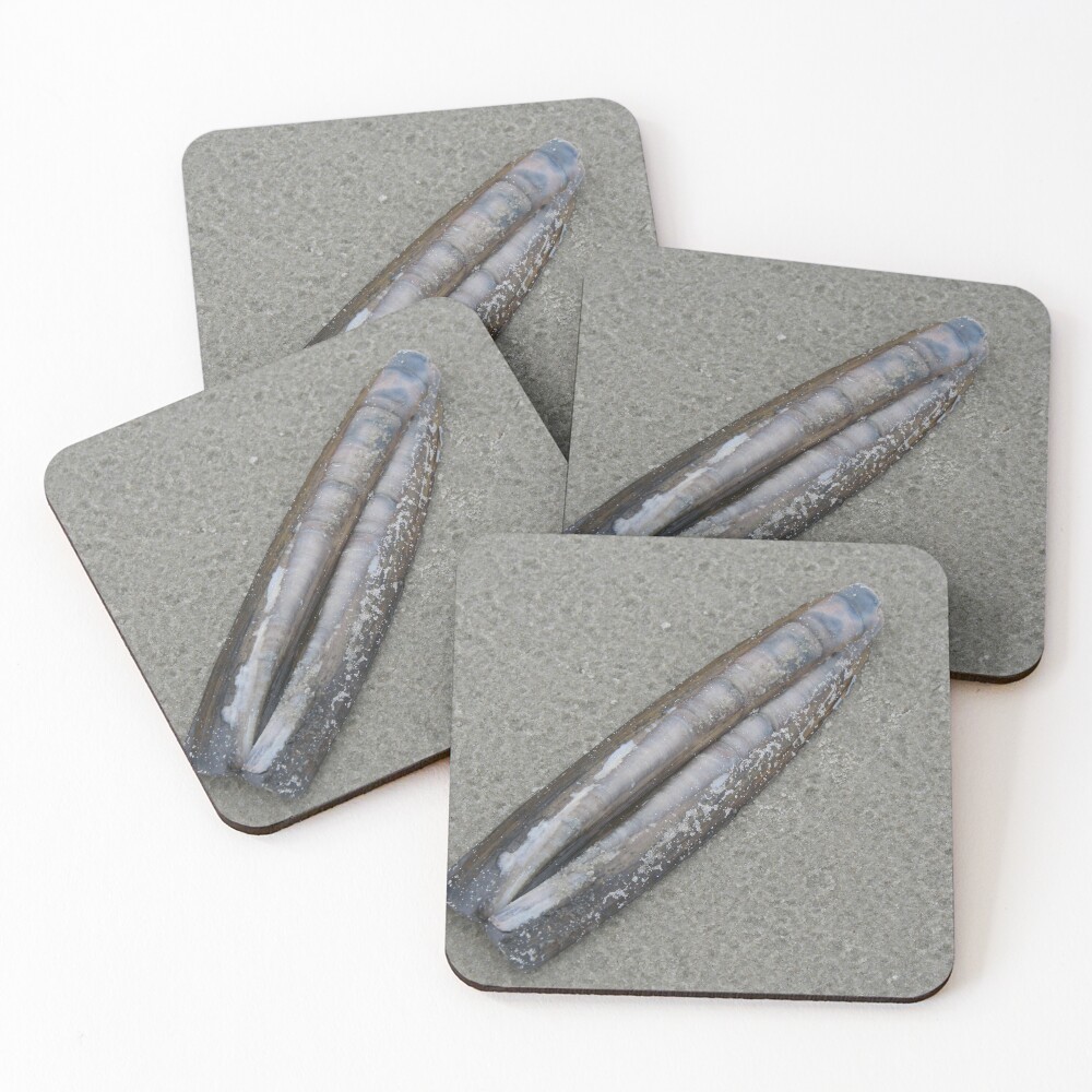 Item preview, Coasters (Set of 4) designed and sold by steffik.