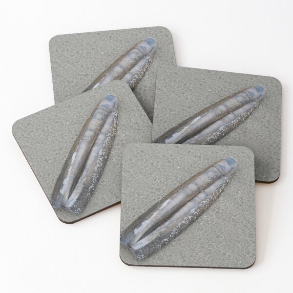 Item preview, Shell designed and sold by Calidris Fotografie Steffi & Ben Köppler.