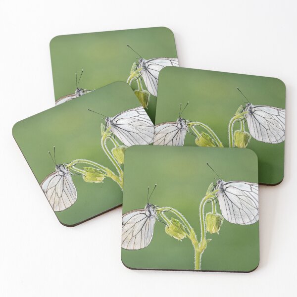 Item preview, Black-veined Whites designed and sold by Tony North.