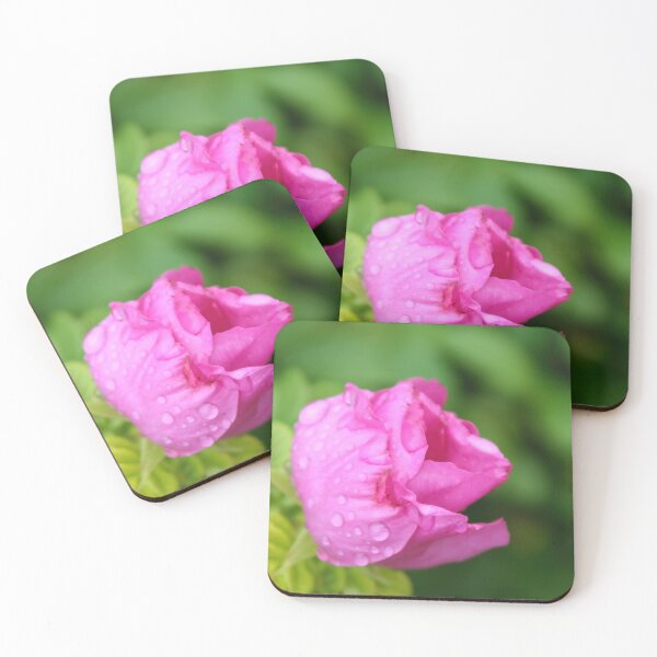 Item preview, Beach rose designed and sold by Calidris Fotografie Steffi & Ben Köppler.