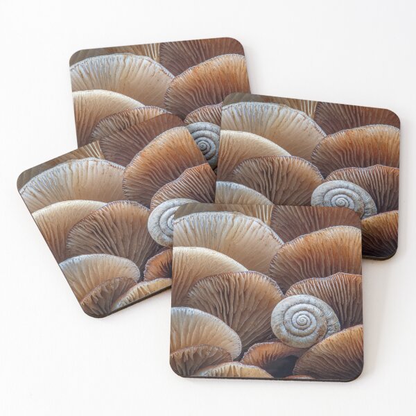 Item preview, Crepidotus Fungi with Snail designed and sold by Tony North.