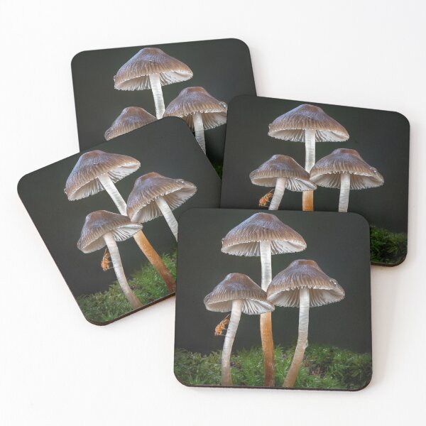 Item preview, Mycena fungi with fly designed and sold by Tony North.