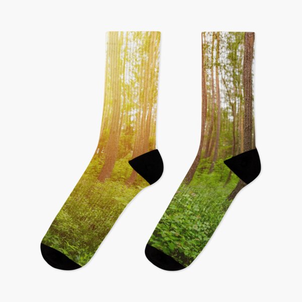 Item preview, Green forest panorama and shining sun designed and sold by Lukasz Szczepanski.