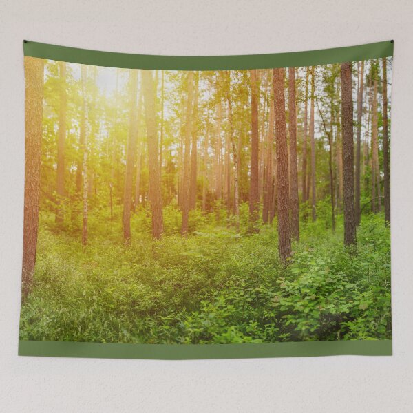 Item preview, Green forest panorama and shining sun designed and sold by Lukasz Szczepanski.