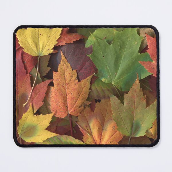 Item preview, Autumn's Mosaic: A Tapestry of Leaves designed and sold by Kenneth Cutts.