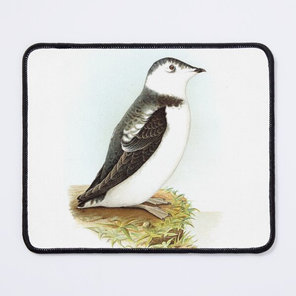 Item preview, Alaskan Penguin Sweet Cute Realistic Vintage Watercolor Birdwatchers Gift designed and sold by ElegantTeaTime.