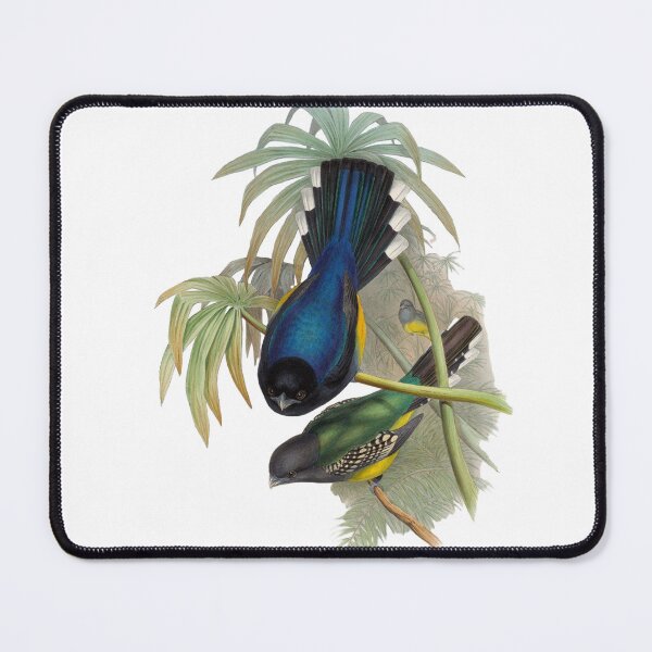 Item preview, Bird atr designed and sold by KateBlakeO.