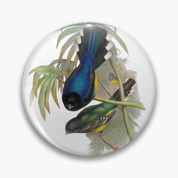 Item preview, Bird atr  designed and sold by KateBlakeO.