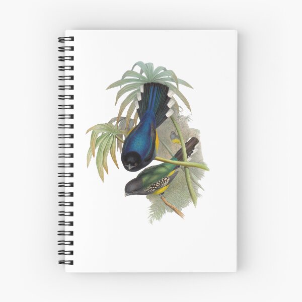 Item preview, Bird atr  designed and sold by KateBlakeO.