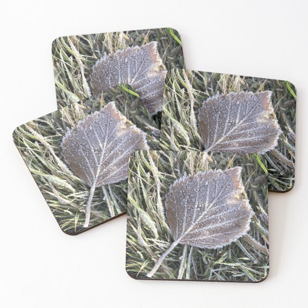Item preview, dry leaf with veins is covered with frost designed and sold by mrivserg.