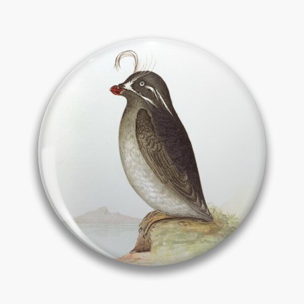 Item preview, Whiskered Auklet Birds of Alaska Vintage Watercolor Sweet Cute Realistic Birdwatching Gift designed and sold by ElegantTeaTime.
