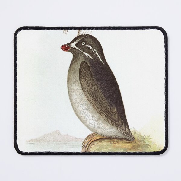 Item preview, Whiskered Auklet Birds of Alaska Vintage Watercolor Sweet Cute Realistic Birdwatching Gift designed and sold by ElegantTeaTime.