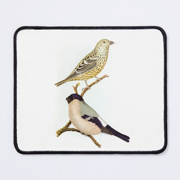 Item preview, Two Barred Crossville Loxia Leucoptera Birds of Alaska Cute Sweet Realistic Vintage Watercolor Birdwatching Gift designed and sold by ElegantTeaTime.