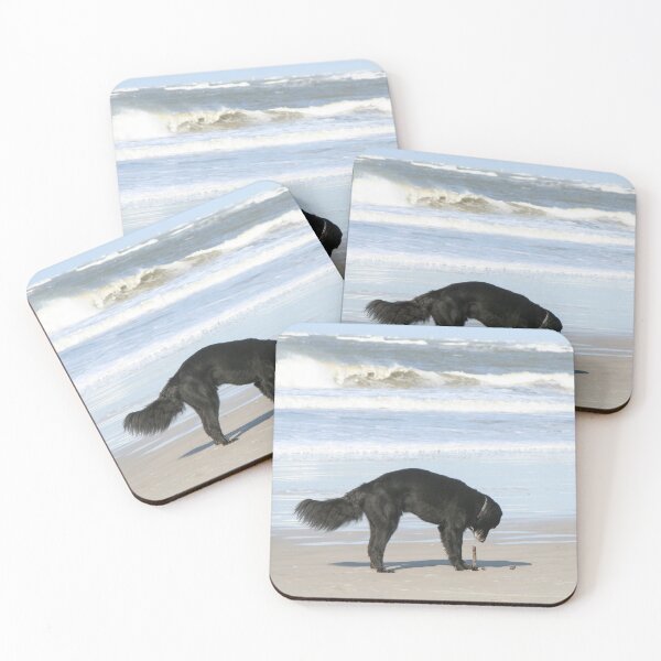 Item preview, Dog on the beach designed and sold by Calidris Fotografie Steffi & Ben Köppler.