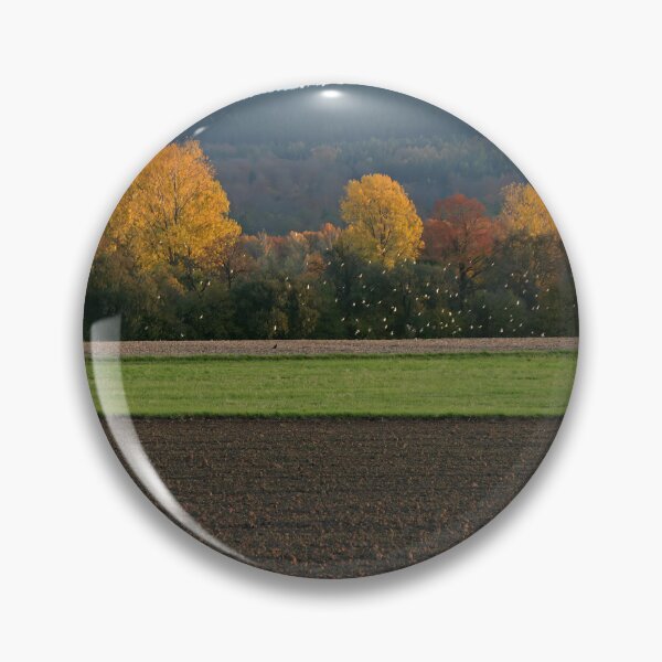 Item preview, Golden trees designed and sold by Calidris Fotografie Steffi & Ben Köppler.