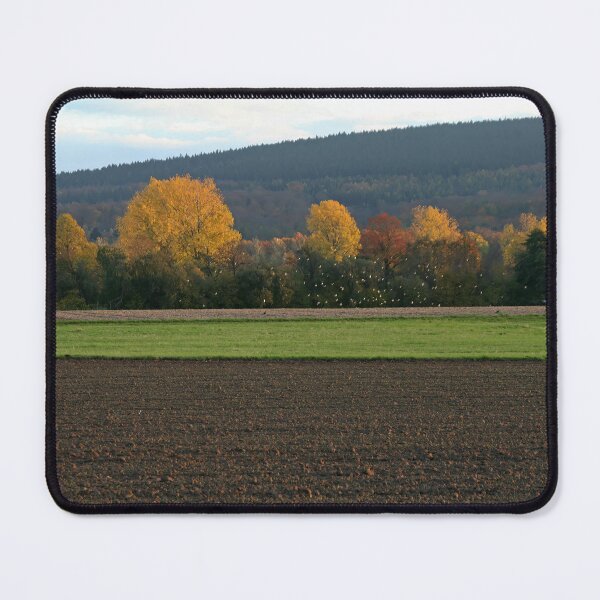 Item preview, Golden trees designed and sold by Calidris Fotografie Steffi & Ben Köppler.
