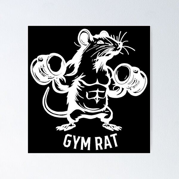 Gym Rat' Poster – blackboyphantasy