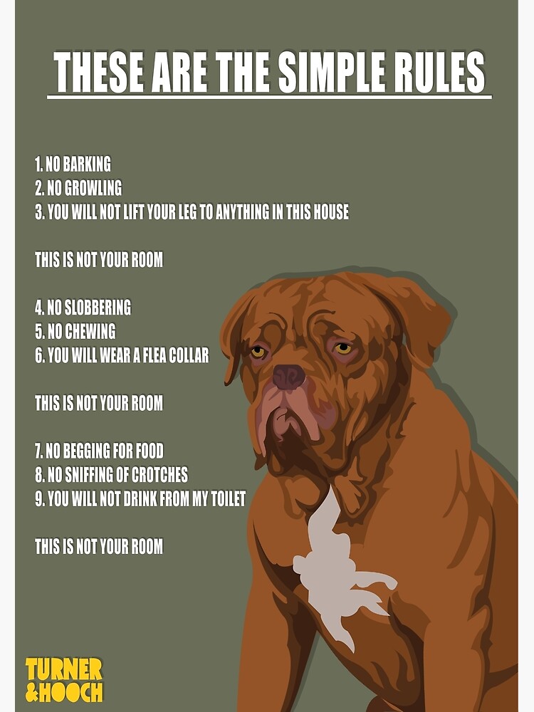 in the movie turner and hooch what kind of dog is hooch