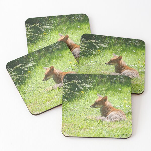 Item preview, Urban fox enjoying sunshine in a garden designed and sold by buttonpresser.