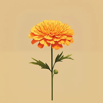 Imagen de la obra Marigold de Midnight Garden