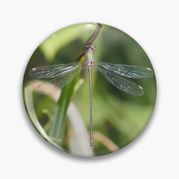 Item preview, Damselfly green blue and rust-coloured designed and sold by Syr'photographies.