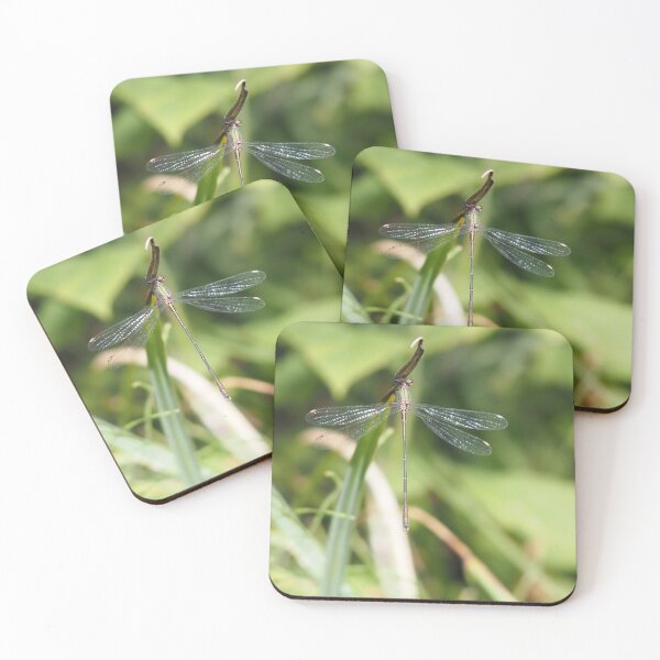 Item preview, Damselfly green blue and rust-coloured designed and sold by Syr'photographies.