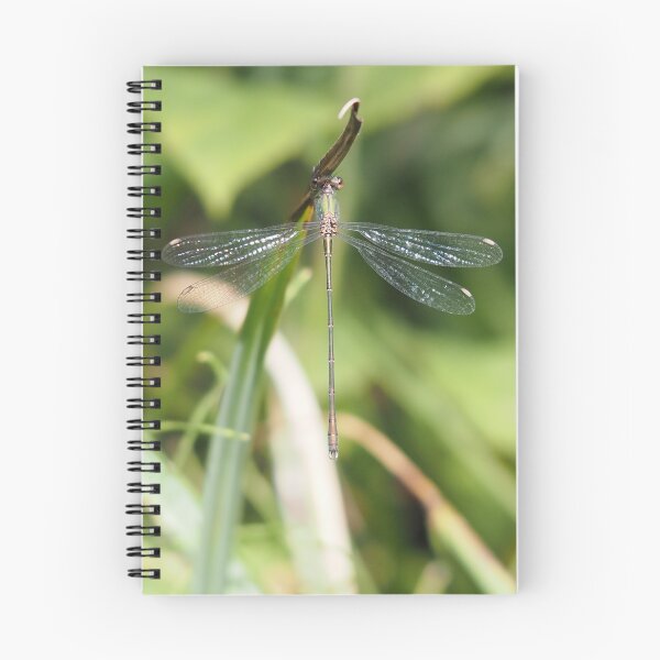 Item preview, Damselfly green blue and rust-coloured designed and sold by Syr'photographies.