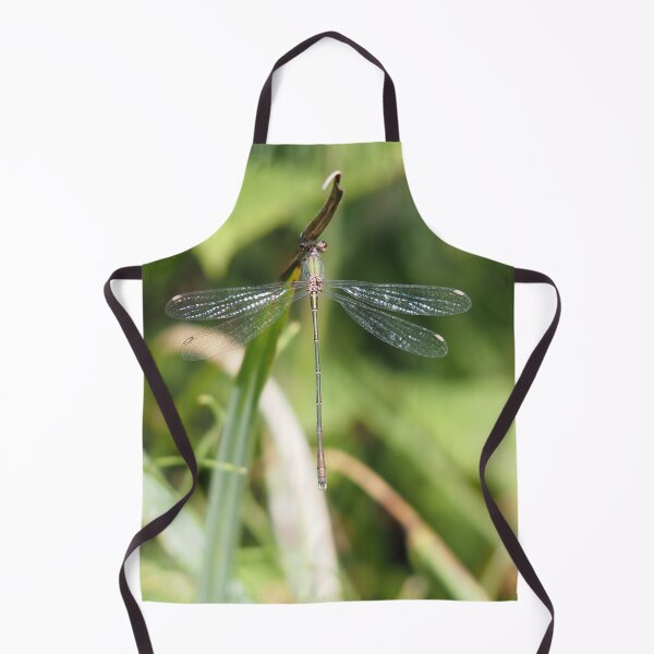 Item preview, Damselfly green blue and rust-coloured designed and sold by Syr'photographies.